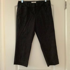 Loft Marisa Cropped Pants EUC Size 6